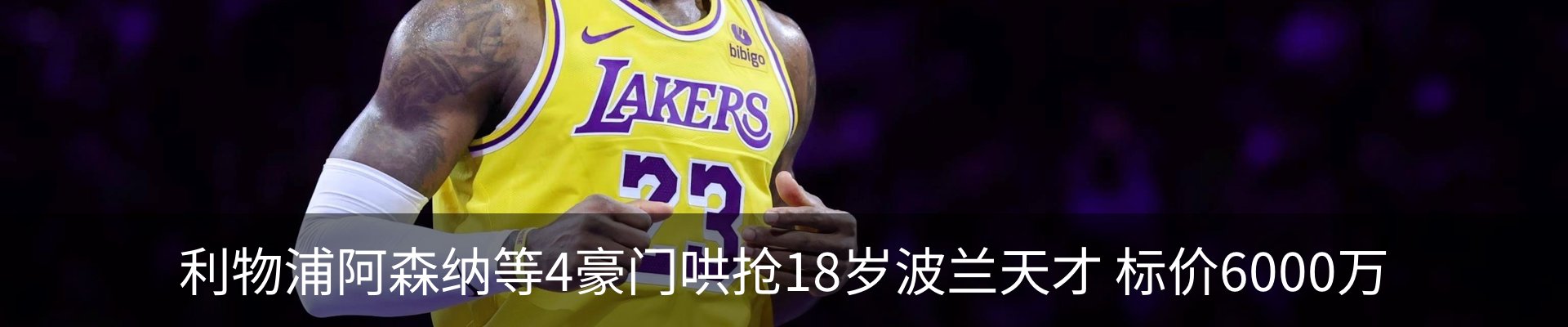 新闻动态