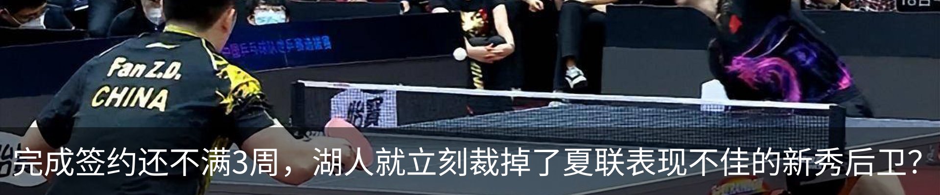 新闻动态