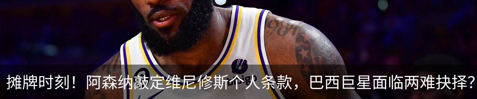 新闻动态