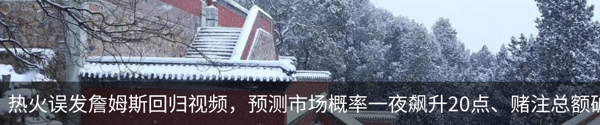 新闻动态