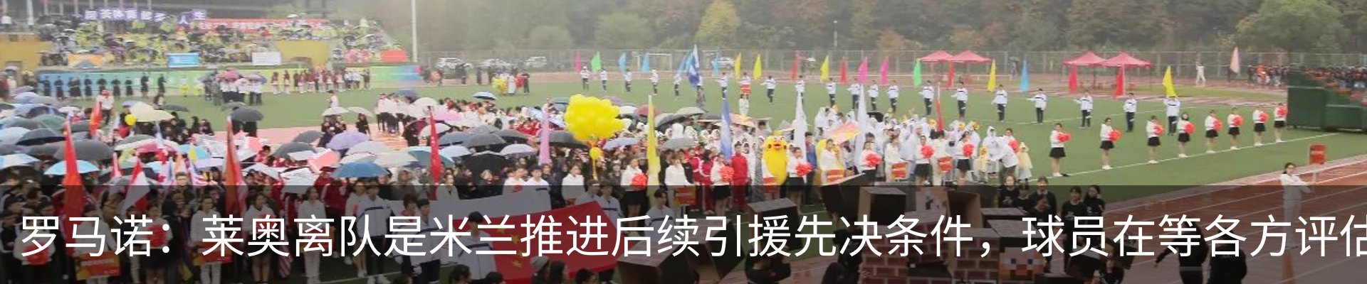新闻动态