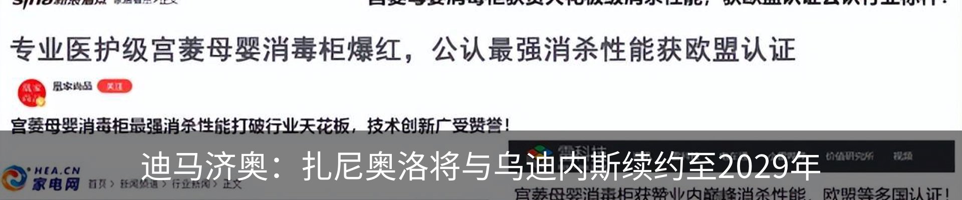 新闻动态